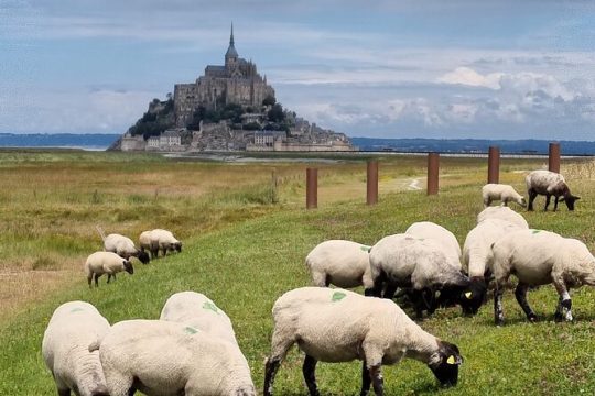 Halloween in Mont-St-Michel