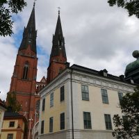 Cultural & Theme Tours