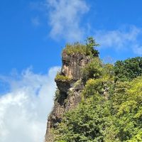 Walking Tours