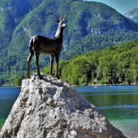 Eco Tours