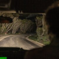 Private & Custom Tours
