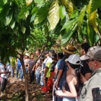 Chocolate Tours