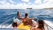 Great private boat tour