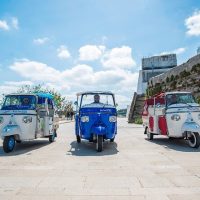 Private Sightseeing Tours