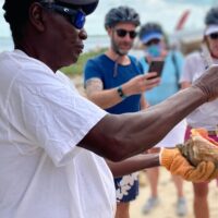 Cultural Tours