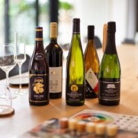 Wine Tasting & Winery Tours