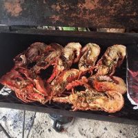 Food, Wine & Nightlife