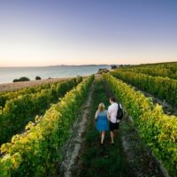 Ports of Call Tours