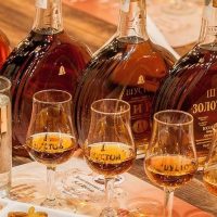 Wine Tasting & Winery Tours
