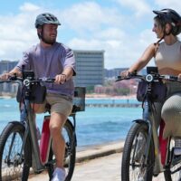Bike Rentals