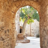 Private & Custom Tours