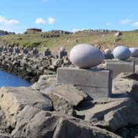 Shore Excursions