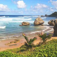 Private Sightseeing Tours