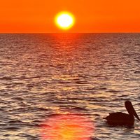 Holiday & Seasonal Tours