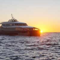 Catamaran Cruises