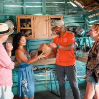 Private & Custom Tours