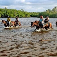 Horseback Riding