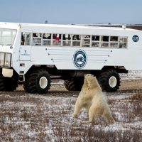 Luxury Tours
