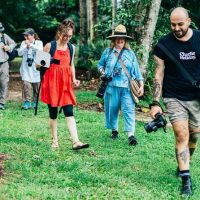 Holiday & Seasonal Tours