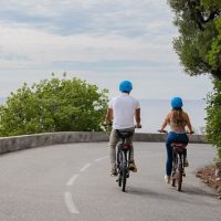 Bike Rentals