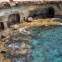 Private Sightseeing Tours