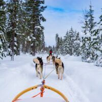 Holiday & Seasonal Tours