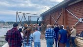 Great lumberjack show