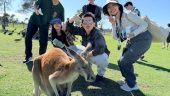 Absolutely recommend Newy Tour Co!!