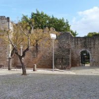Cultural Tours