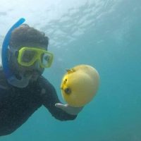 Snorkeling