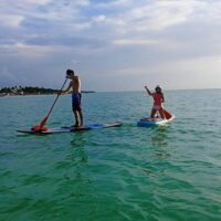 Stand Up Paddleboarding
