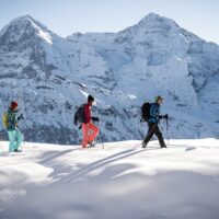 Ski & Snow