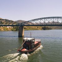 Shore Excursions