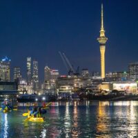 Night Tours