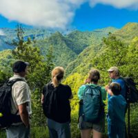 Bus & Minivan Tours