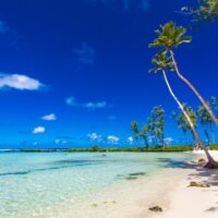 Day Trips & Excursions