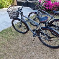Bike Rentals