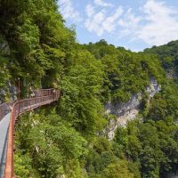 Private & Custom Tours