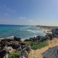 Bus & Minivan Tours