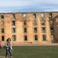 Multi-day Tours