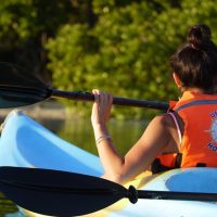 Shore Excursions