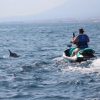 Boat Rentals