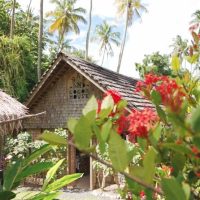 Walking Tours