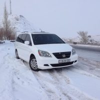 Transfers & Ground Transport