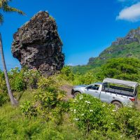 Cultural Tours