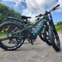 Bike Rentals