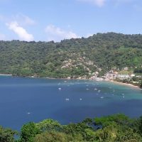 Bus & Minivan Tours