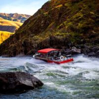 Jet Boats & Speed Boats
