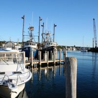 Half-day Tours