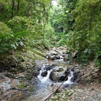 Eco Tours